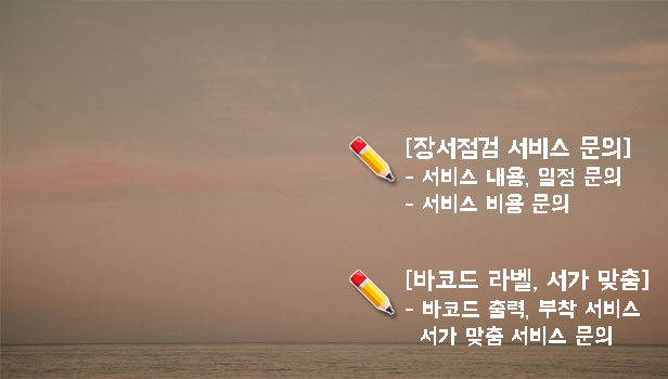 학교 도서관 장서점검 서비스, 도서 재고관리 서비스, 도서 바코드 라벨 출력 및 부착서비스, 비용가격견적, 학교도서관 기술인력 지원, 사서 출신 전문가 작업, 서가 분류 체계와 도서관 시스템(KOLAS 등)에 능숙한 전문가가 직접 수행, DLS 밎춤작업